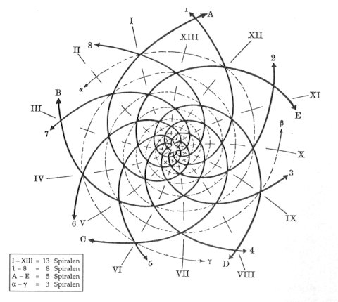 Fibonacci Sonnenblume