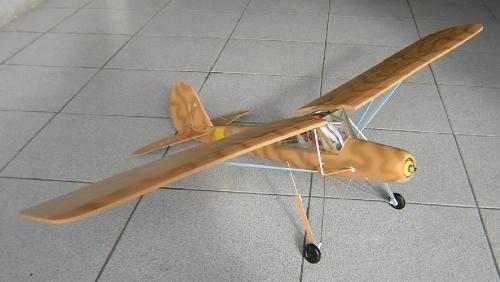 fieselerRobbe35.jpg.jpg