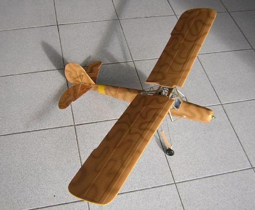 fieselerRobbe37.jpg.jpg