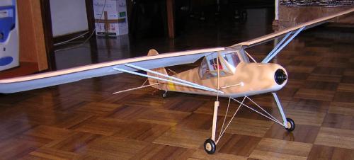 fieselerRobbe40.jpg.jpg