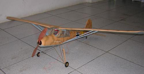 fieselerRobbe50.jpg.jpg