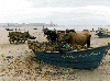 [Buarcos]