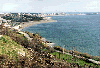 [Figueira]